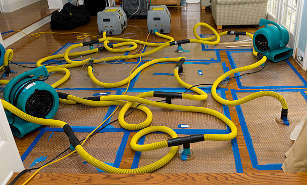 Professional Water Extraction technician working in Hartland, WI